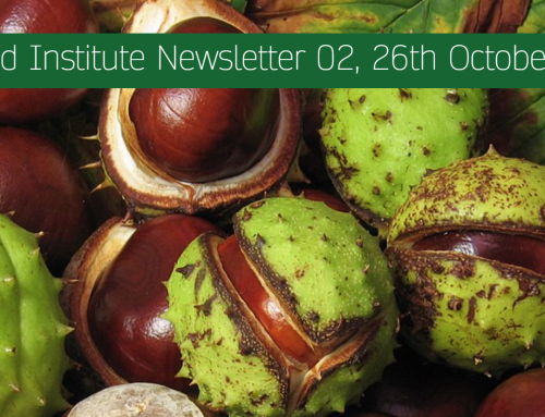 The Mead Institute Newsletter 02, 26th October 2023