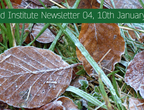 The Mead Institute Newsletter 04, 10th January 2024