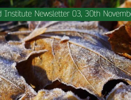 The Mead Institute Newsletter 03,  30th November 2023